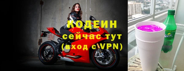 прущий лед Алзамай