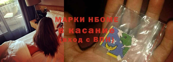 прущий лед Алзамай