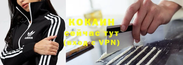 прущий лед Алзамай