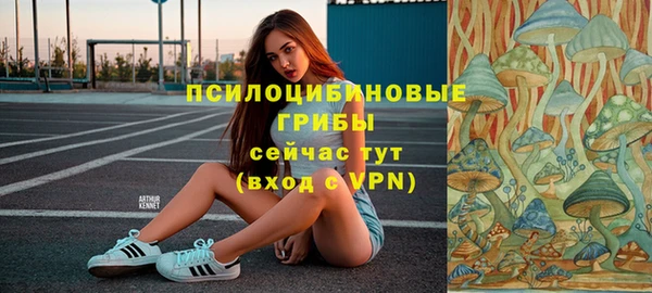 герыч Арсеньев