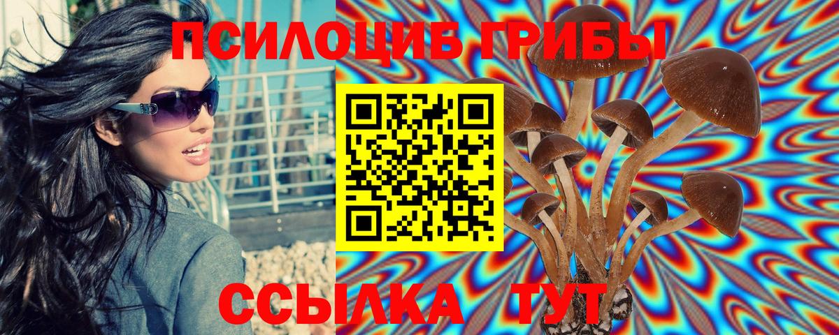 Псилоцибиновые грибы GOLDEN TEACHER  Вход с VPN  Галлюциногенные грибы GOLDEN TEACHER  где продают наркотики  Лесосибирск 